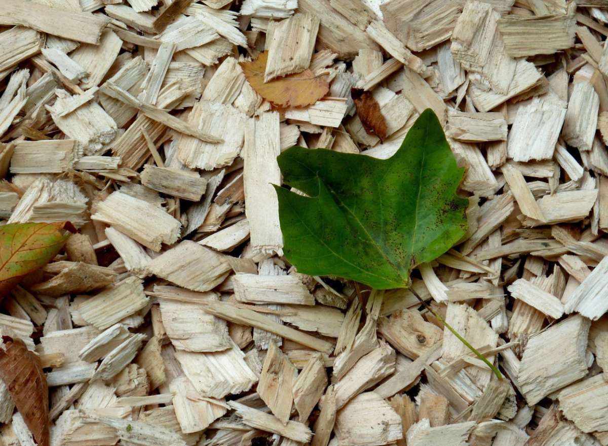 Hatékony kerti megoldások: a mulcs használata és előnyei