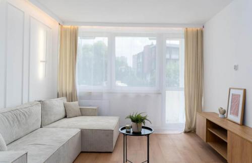 Az egyedi ablakok szerepe a modern otthonokban
